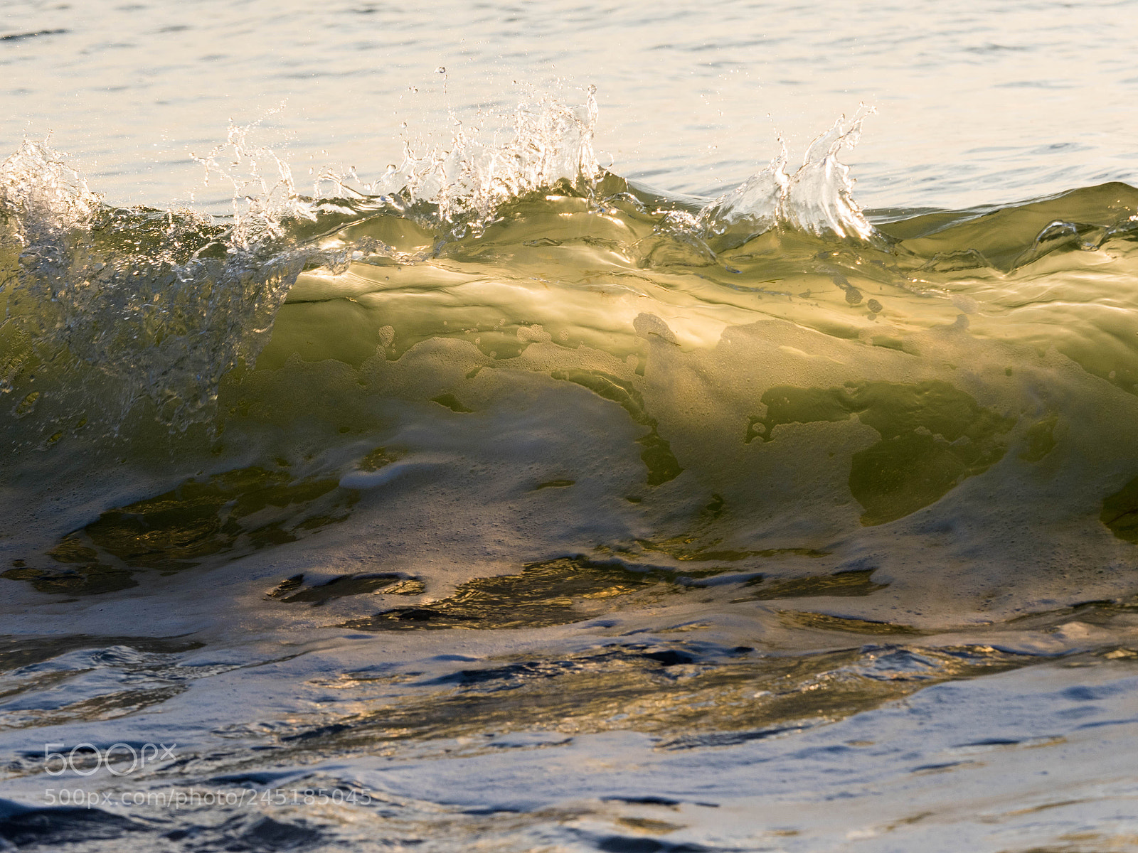 Olympus OM-D E-M1 Mark II sample photo. A wave with hands photography