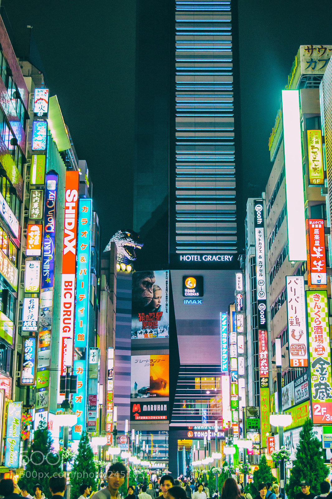 Nikon D3100 sample photo. 東京 photography