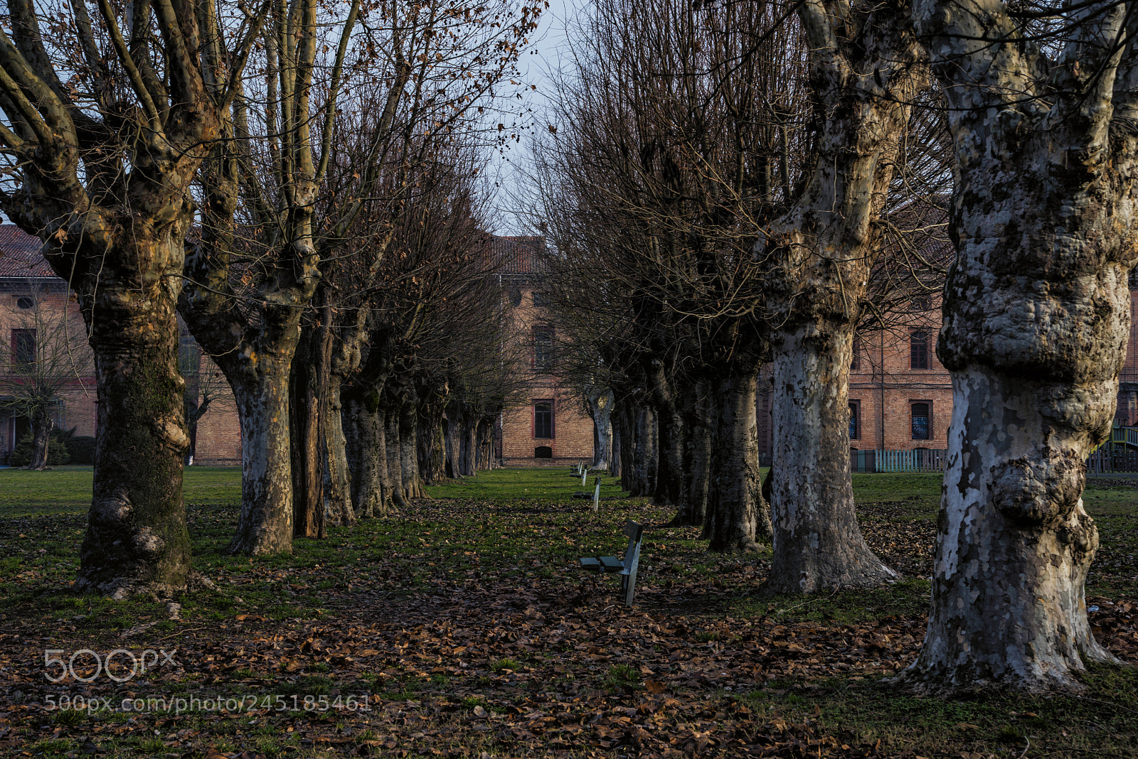 Nikon D800 sample photo. I'm alone in wintertime photography
