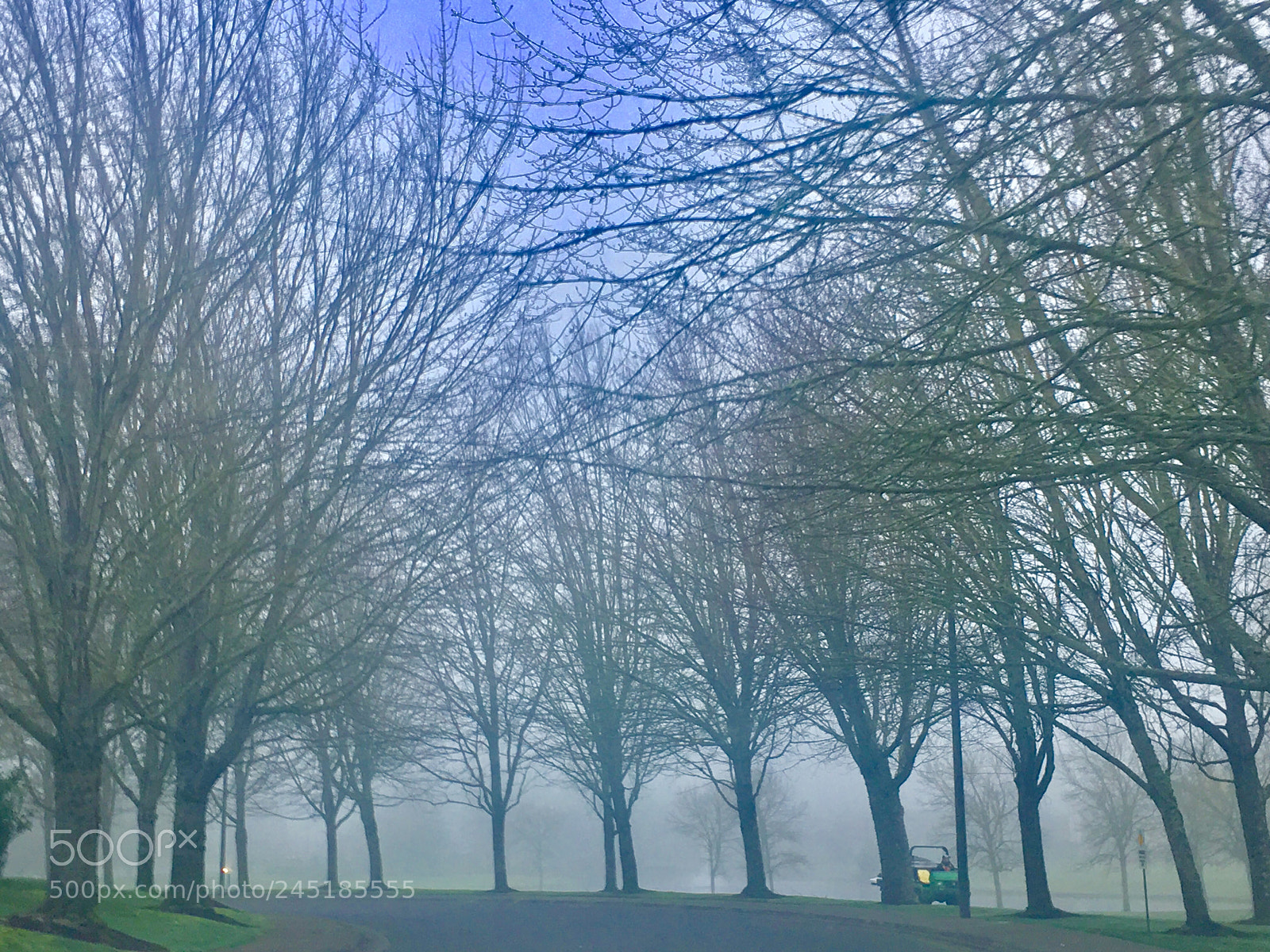 Apple iPhone 6s sample photo. Foggy morning photography