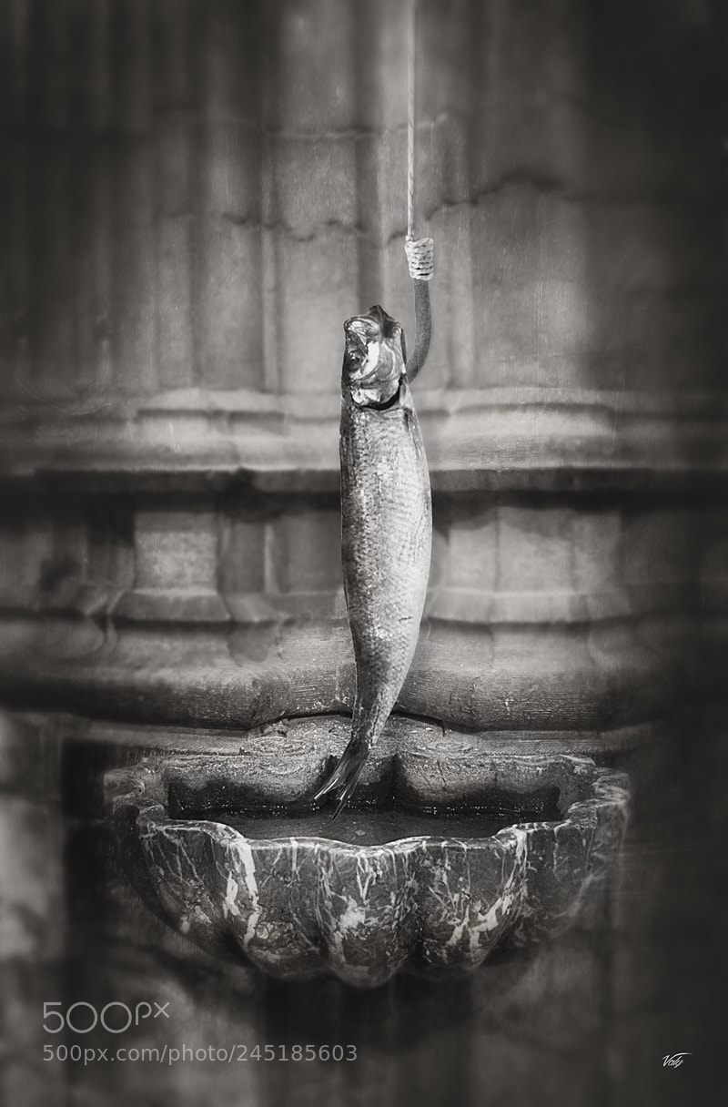 Pentax K20D sample photo. " la pêche miraculeuse " photography