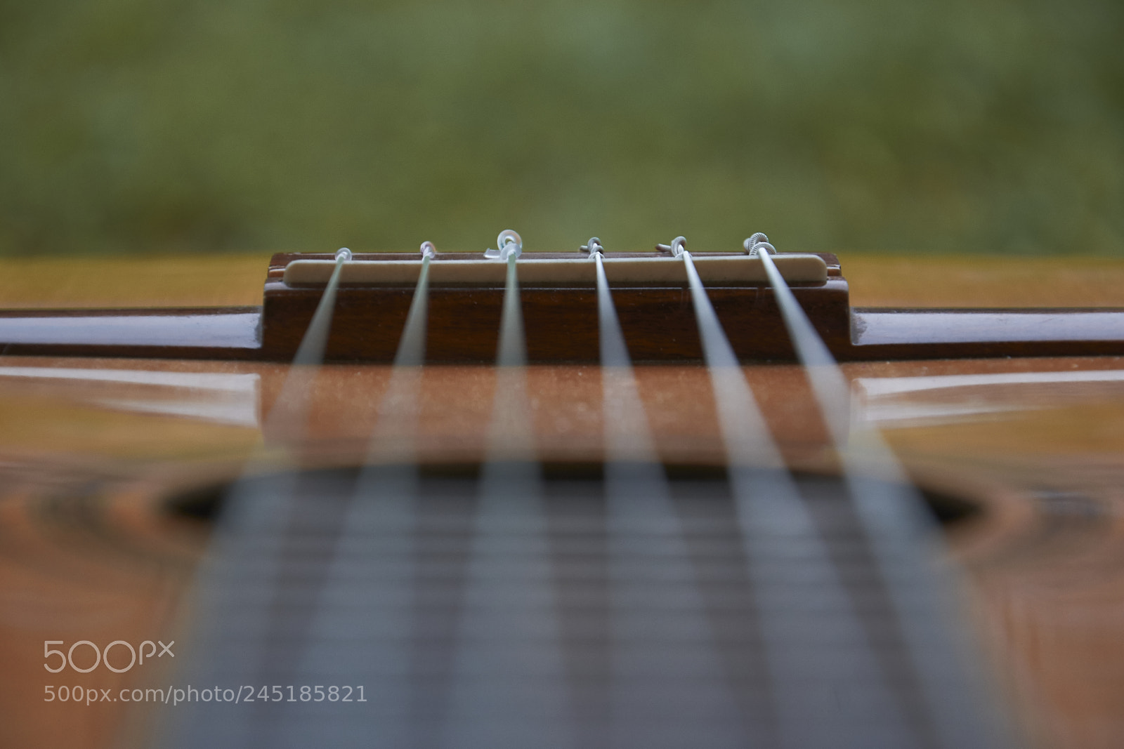 Nikon D3100 sample photo. Hpsmiscphotos photography
