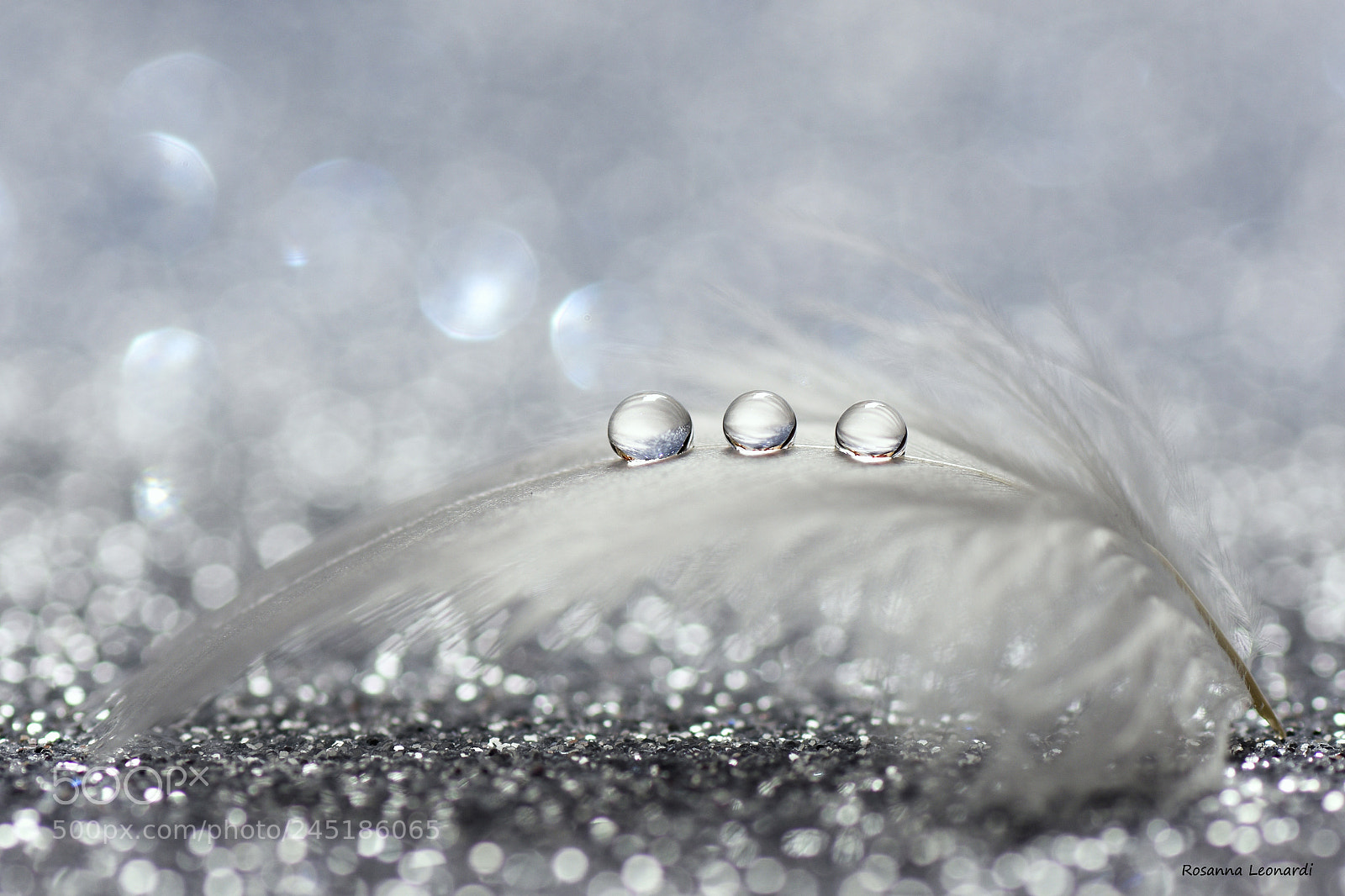 Nikon D7200 sample photo. One...two...three... photography