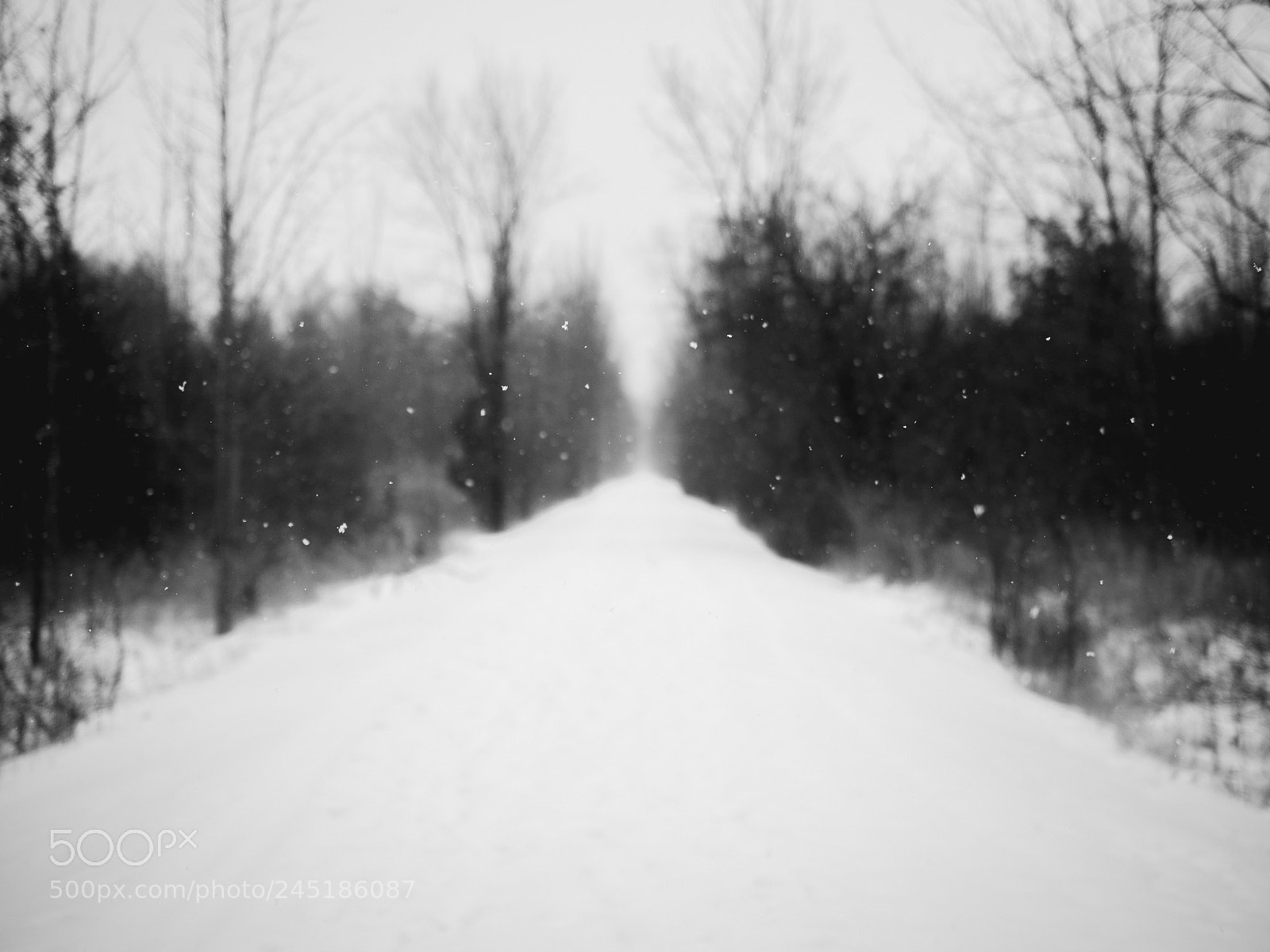 Olympus OM-D E-M1 Mark II sample photo. Snow photography