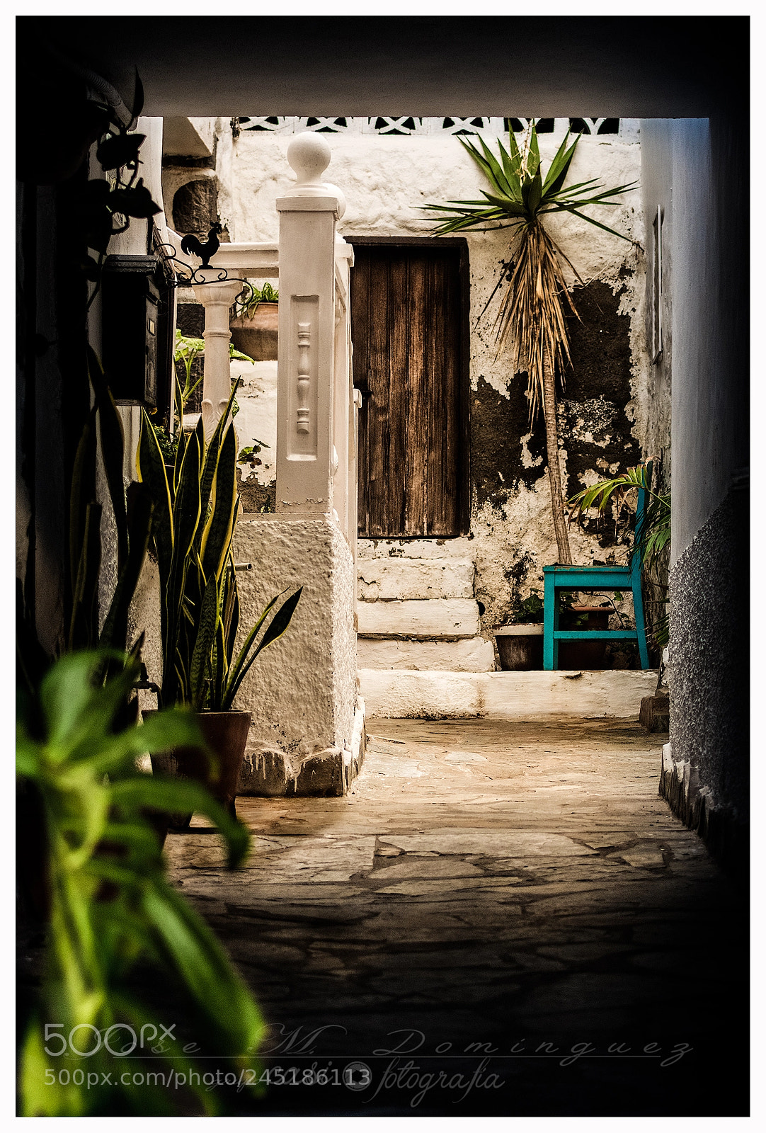 Nikon D7100 sample photo. El patio photography