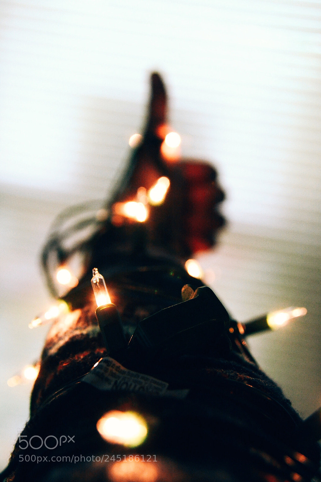 Nikon D3100 sample photo. Don t like this photography