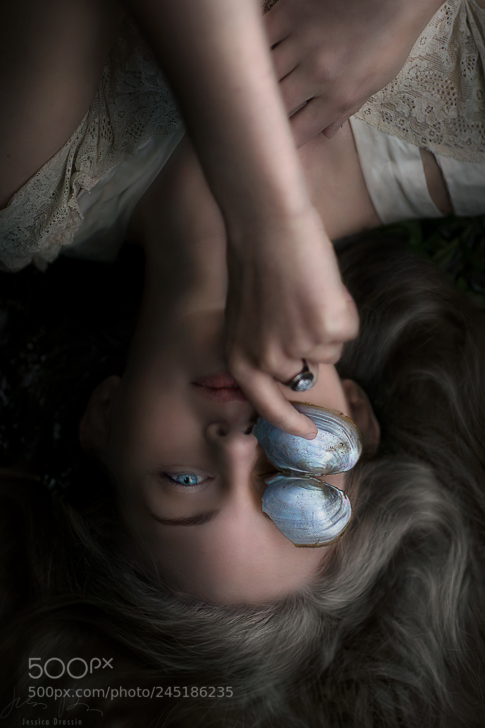 Canon EOS 5DS R sample photo. Shell photography