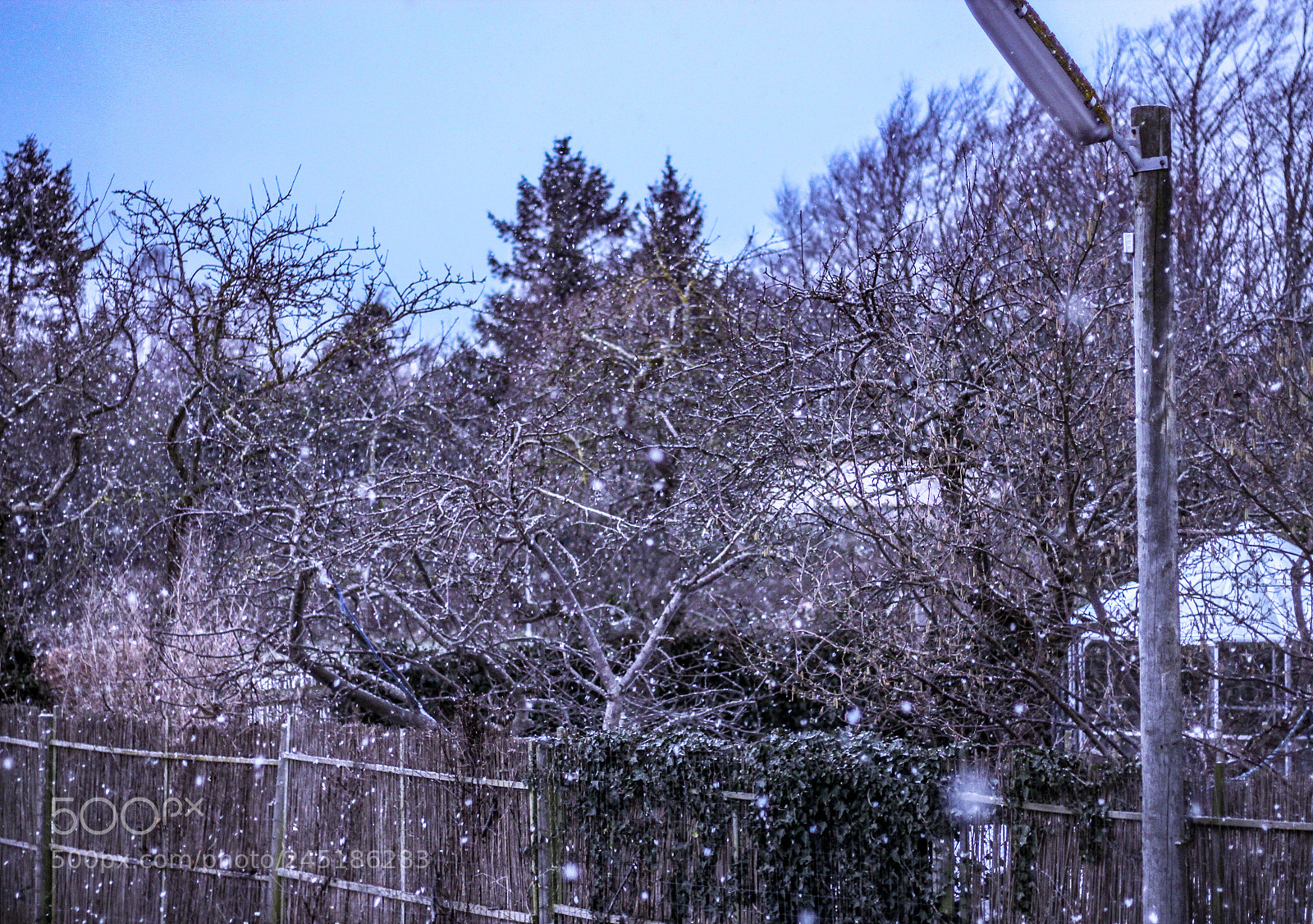 Canon EOS 1200D (EOS Rebel T5 / EOS Kiss X70 / EOS Hi) sample photo. Winter hygge photography