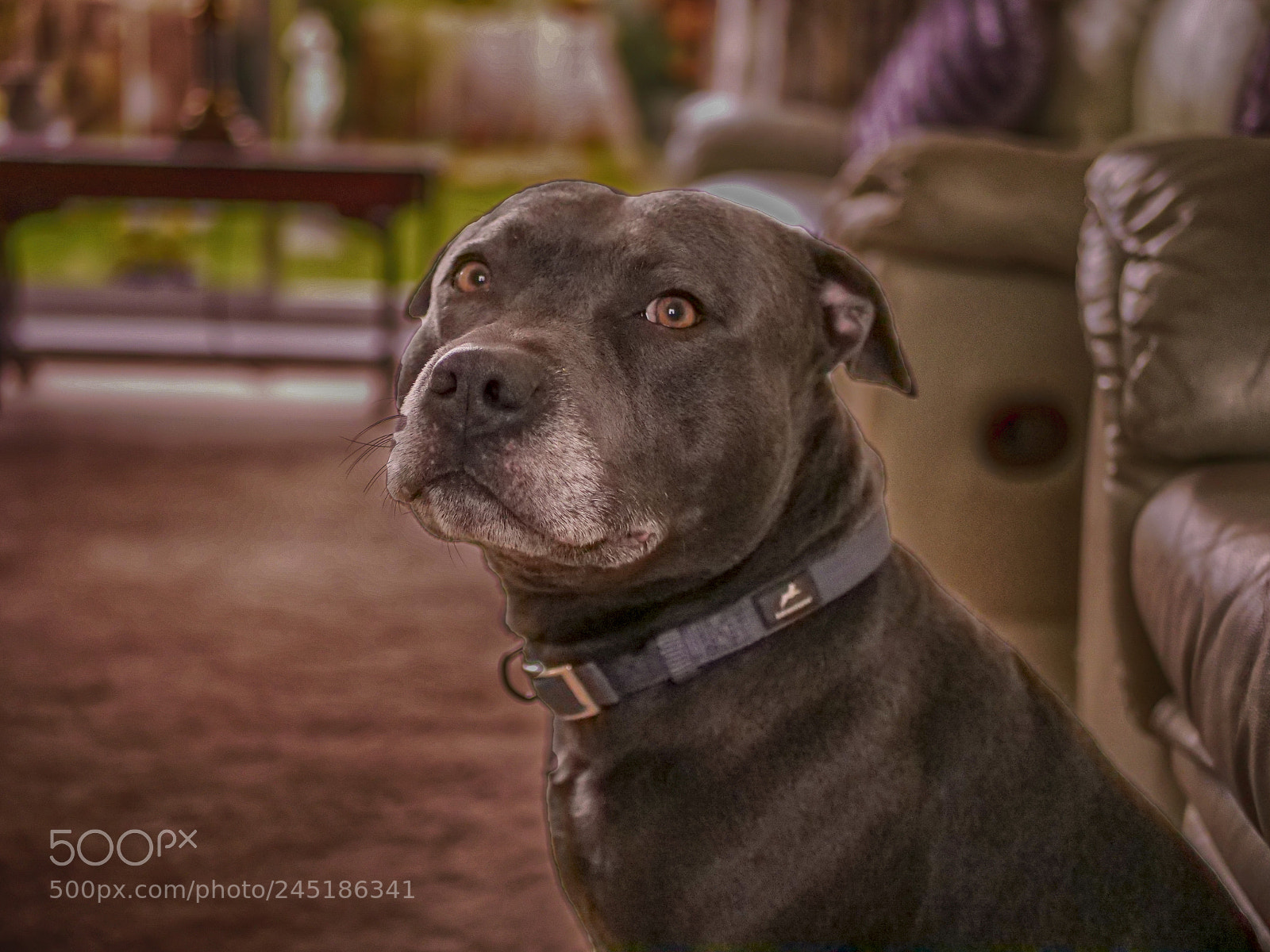Panasonic Lumix DC-GH5 sample photo. Poser photography