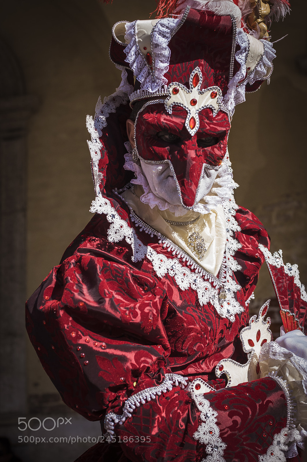 Nikon D700 sample photo. Masked man in venice photography