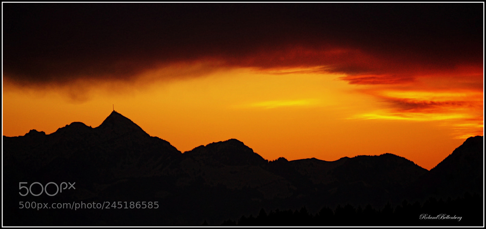 Sony E 55-210mm F4.5-6.3 OSS sample photo. Orange power photography