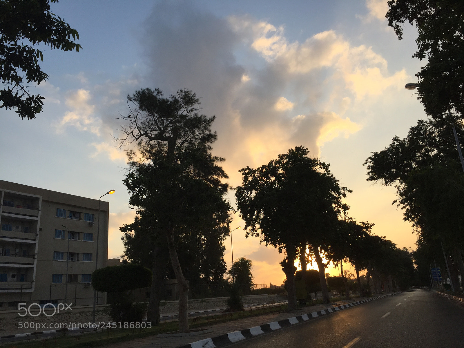 Apple iPhone 6 sample photo. Untitled photography