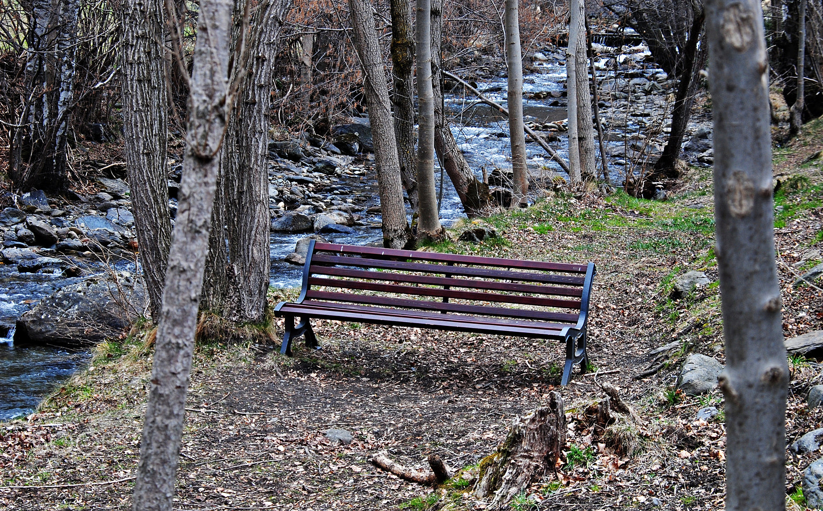 Nikon D3000 + Sigma 18-200mm F3.5-6.3 DC OS HSM sample photo. The river photography