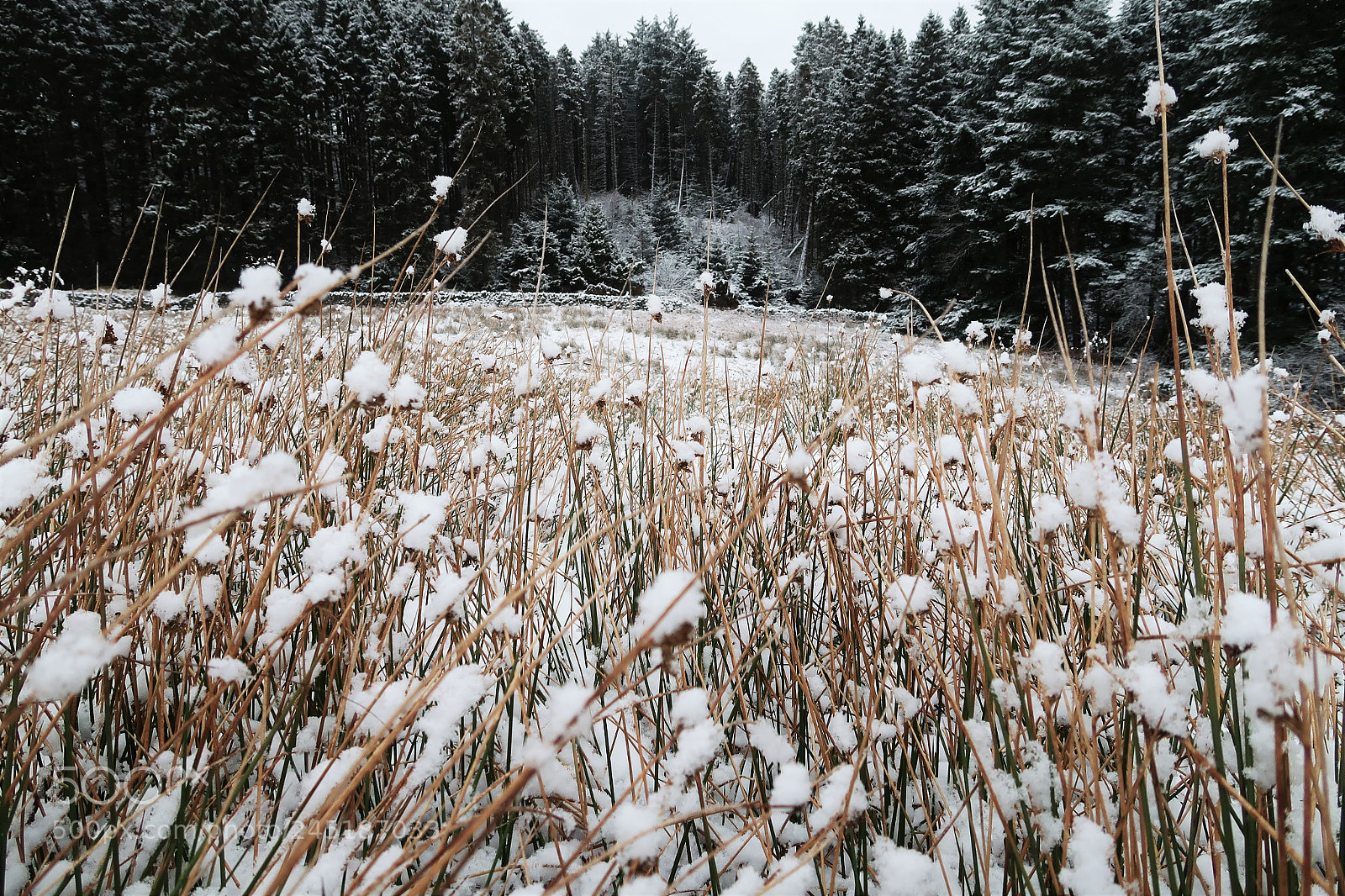 Canon PowerShot G7 X Mark II sample photo. Snowy view photography