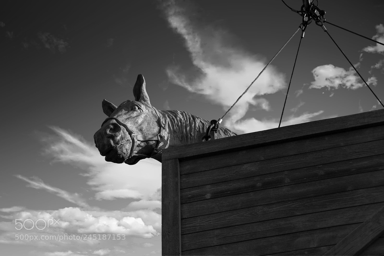 Sony a7R II sample photo. Horse in wooden box photography