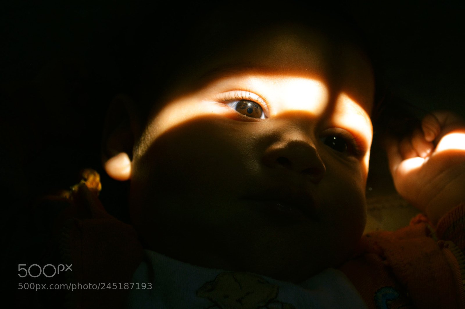 Nikon D3200 sample photo. Sus ojos photography