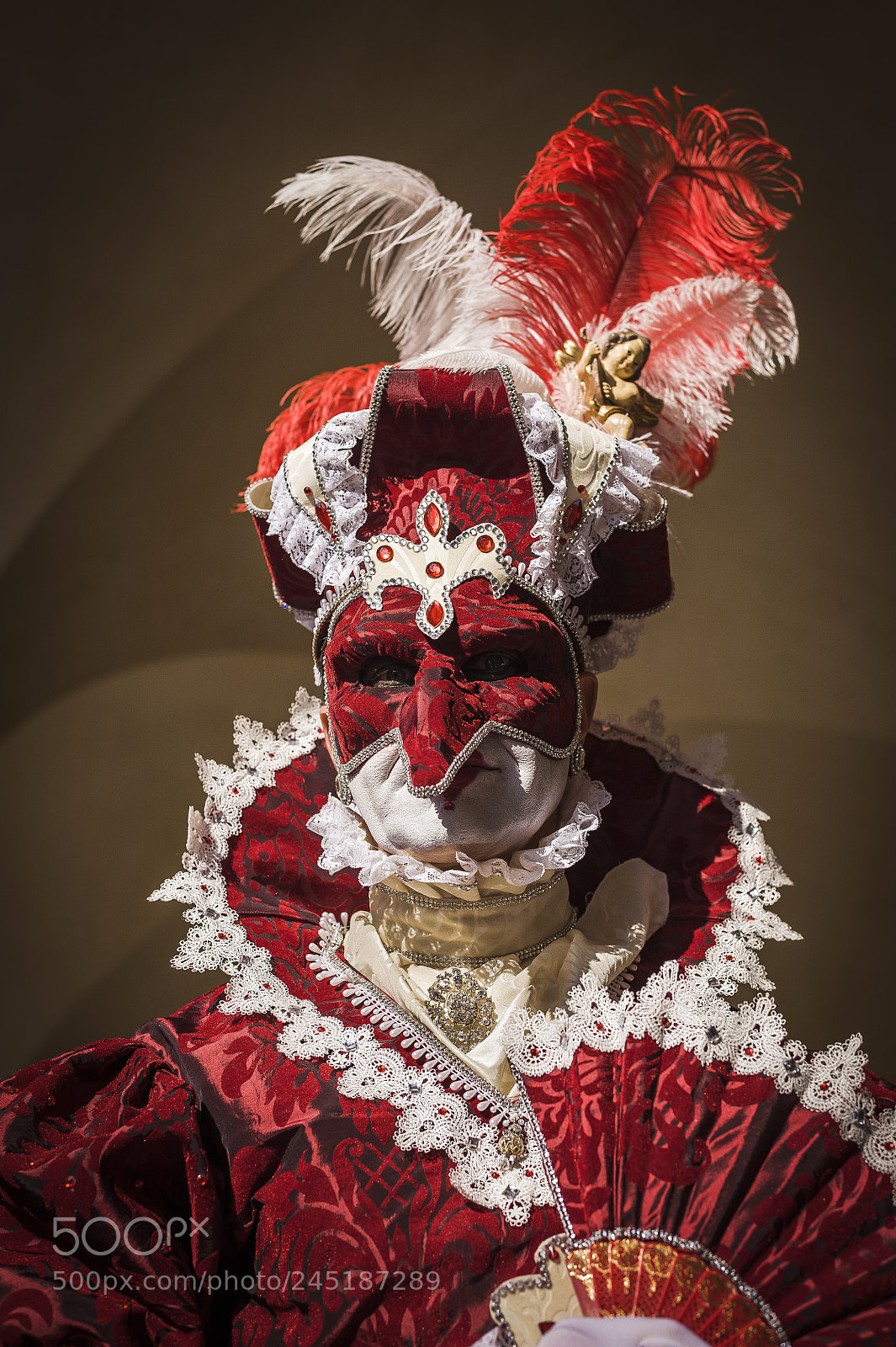 Nikon D700 sample photo. Masked man in venice photography