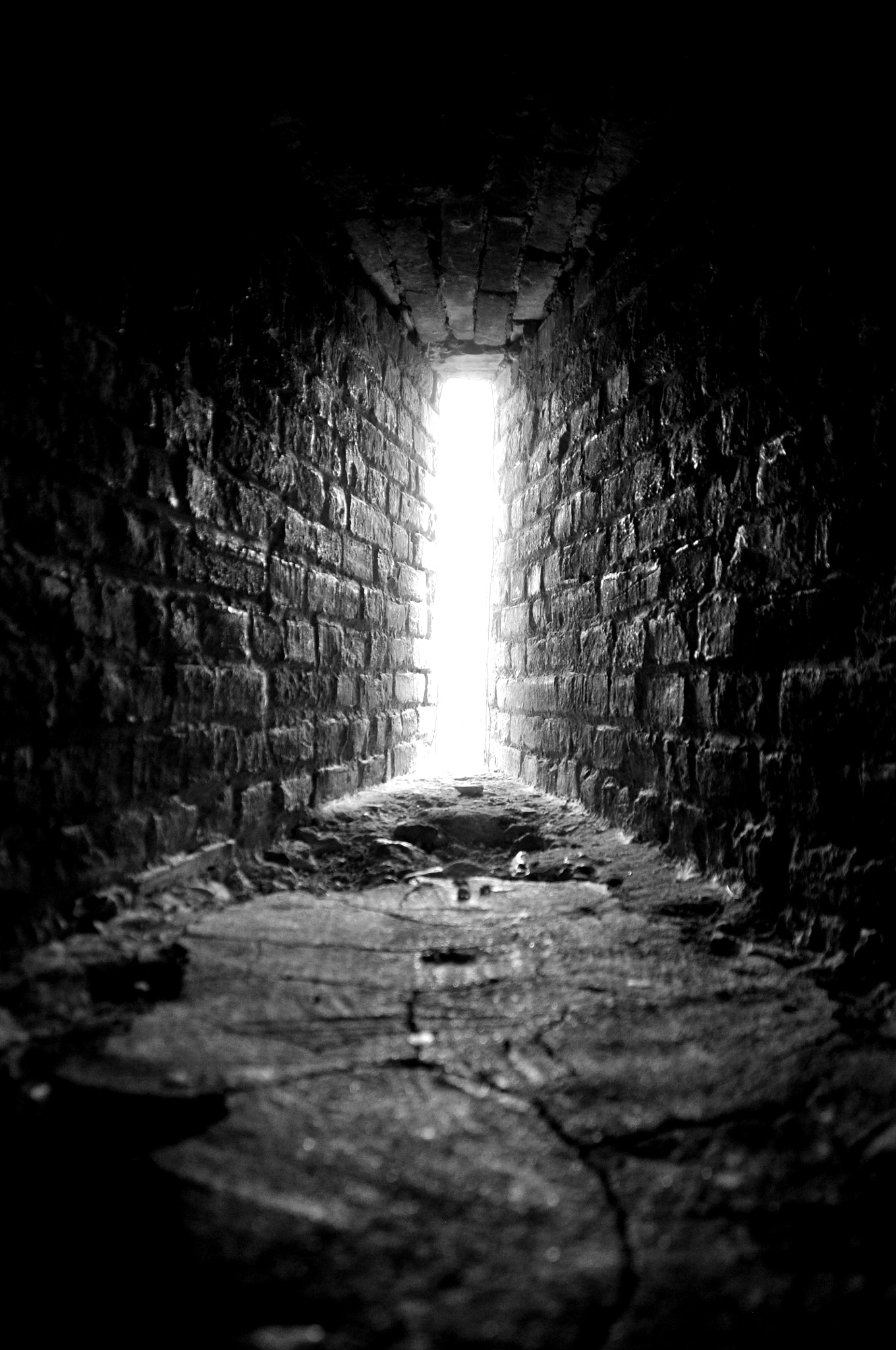 Nikon D90 sample photo. Light photography