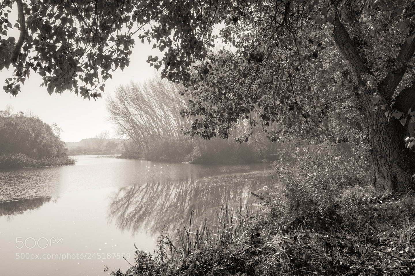 Fujifilm X-Pro2 sample photo. Paseando junto al rio photography
