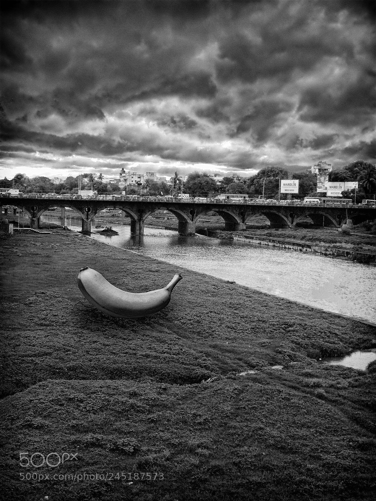 Canon PowerShot A2200 sample photo. Banana idea b&w photography