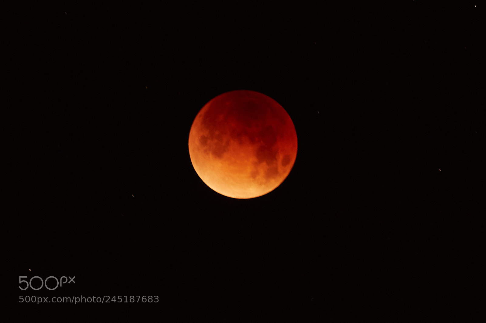 Canon EOS 5DS R sample photo. Untitled photography