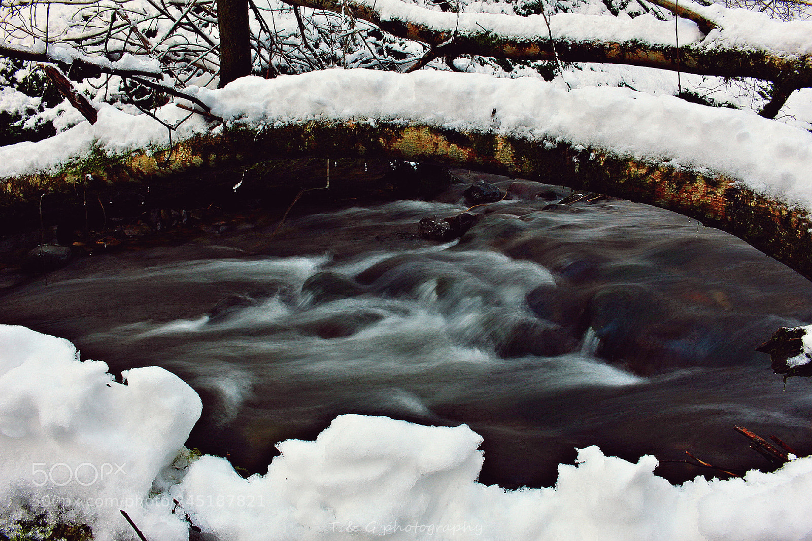 Canon EOS 100D (EOS Rebel SL1 / EOS Kiss X7) sample photo. Eye of winter photography