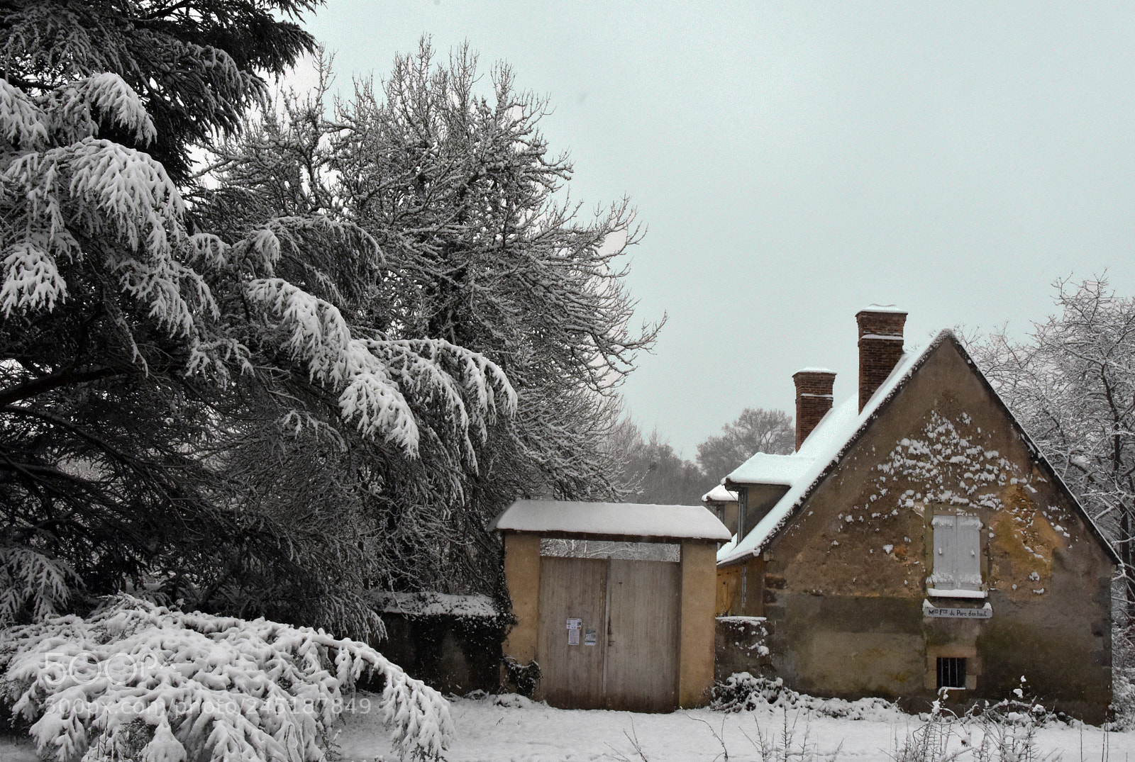 Nikon D7200 sample photo. Little forest house photography