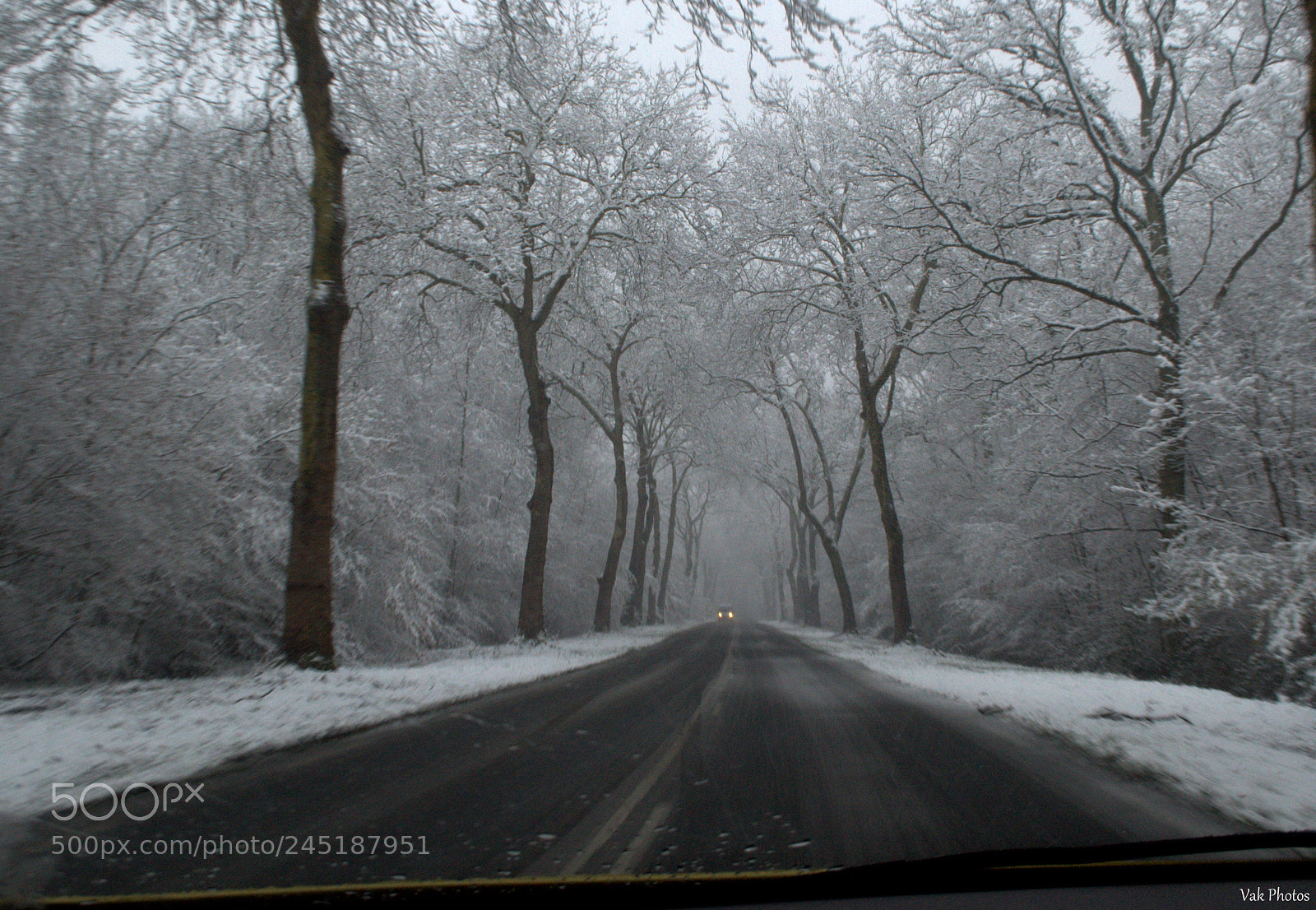 Nikon D3100 sample photo. On the road photography