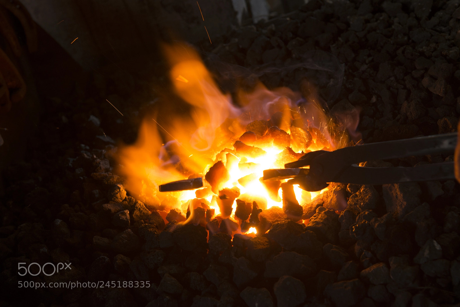Nikon D800E sample photo. Eee photography