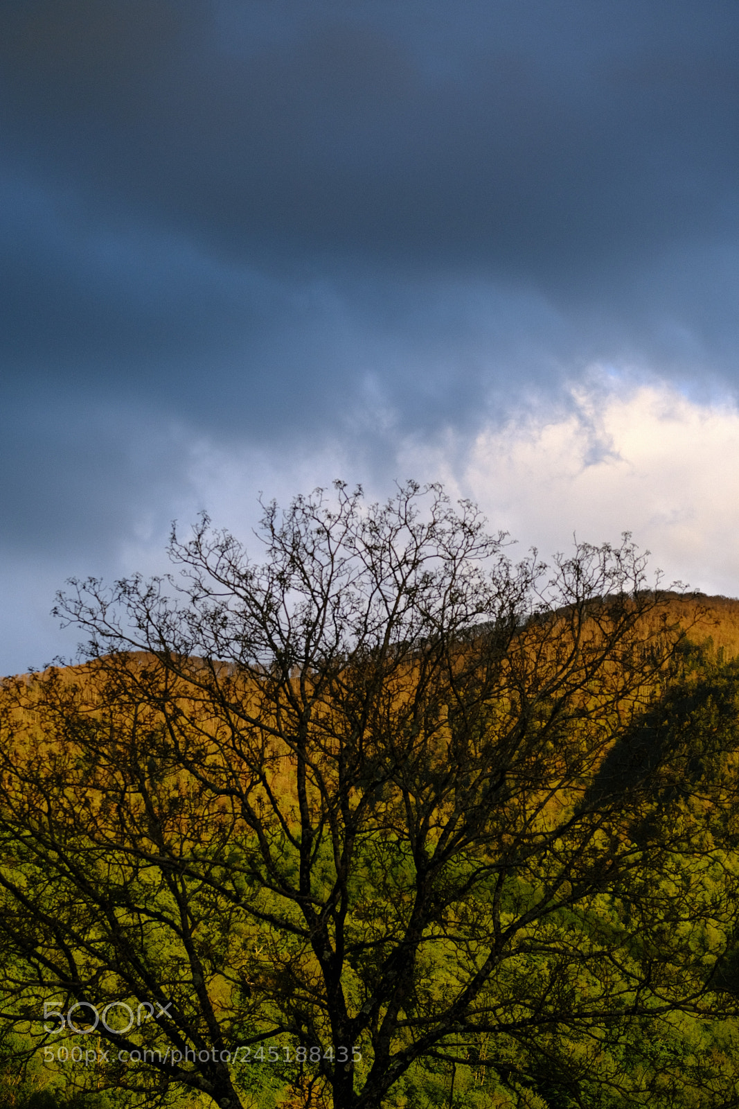 Fujifilm X-T2 sample photo. Storm sunset in ari photography