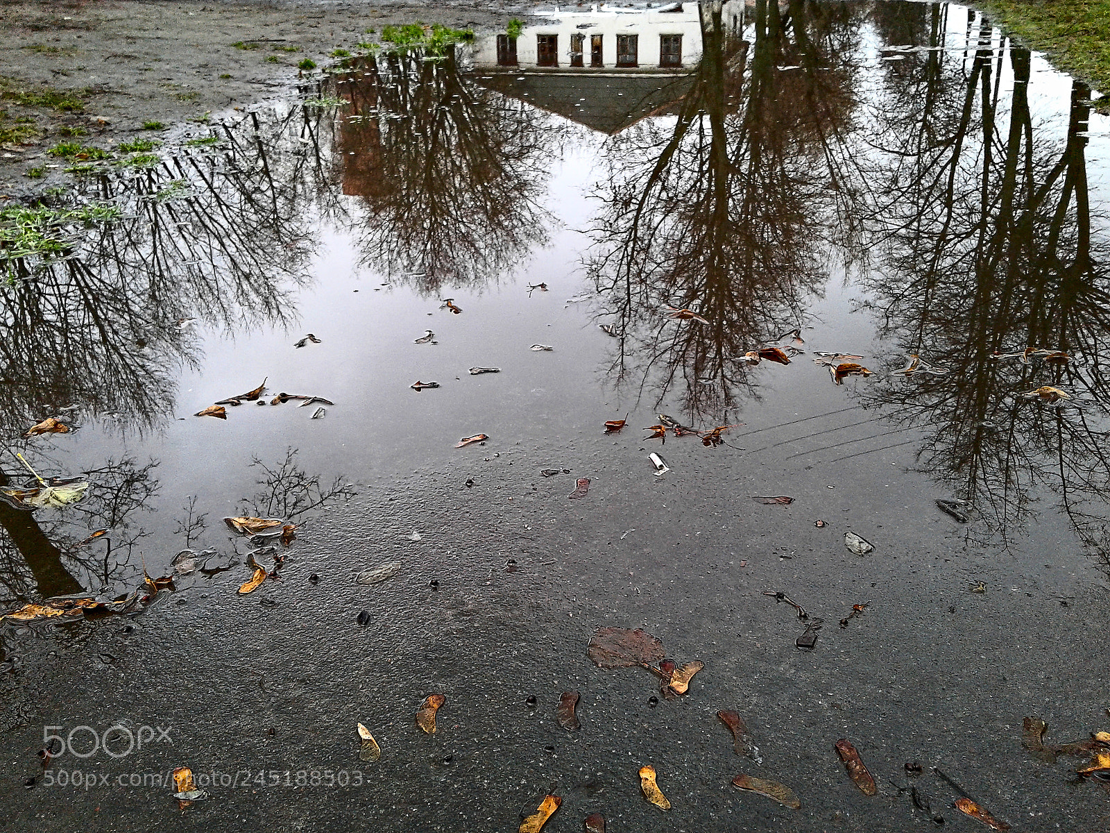 Samsung Galaxy J1 sample photo. Fall time reflection photography