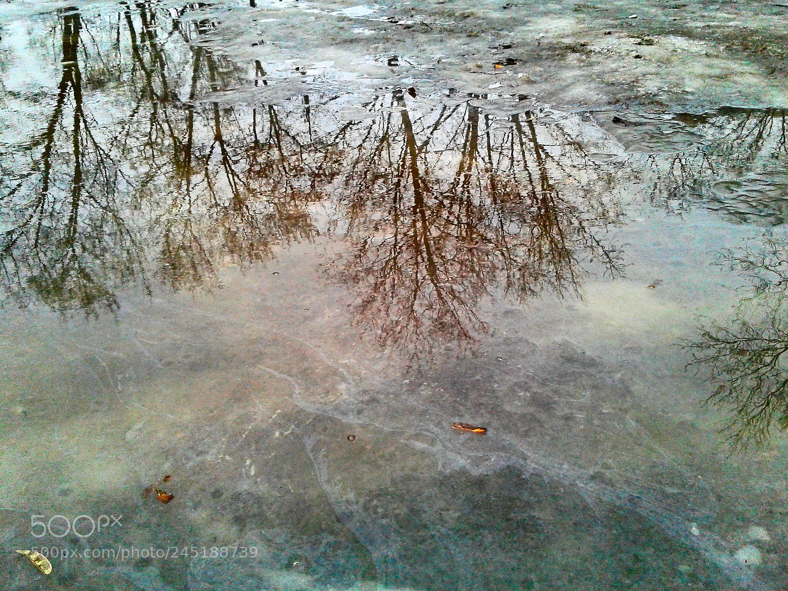 Samsung Galaxy J1 sample photo. Icy reflection photography