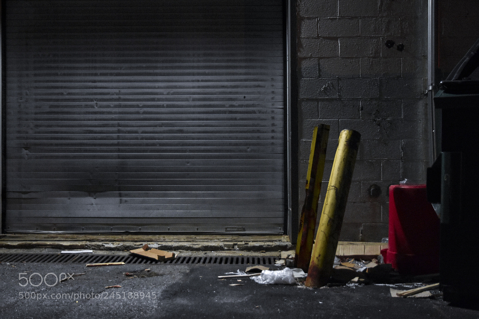 Nikon D3400 sample photo. Garage door photography