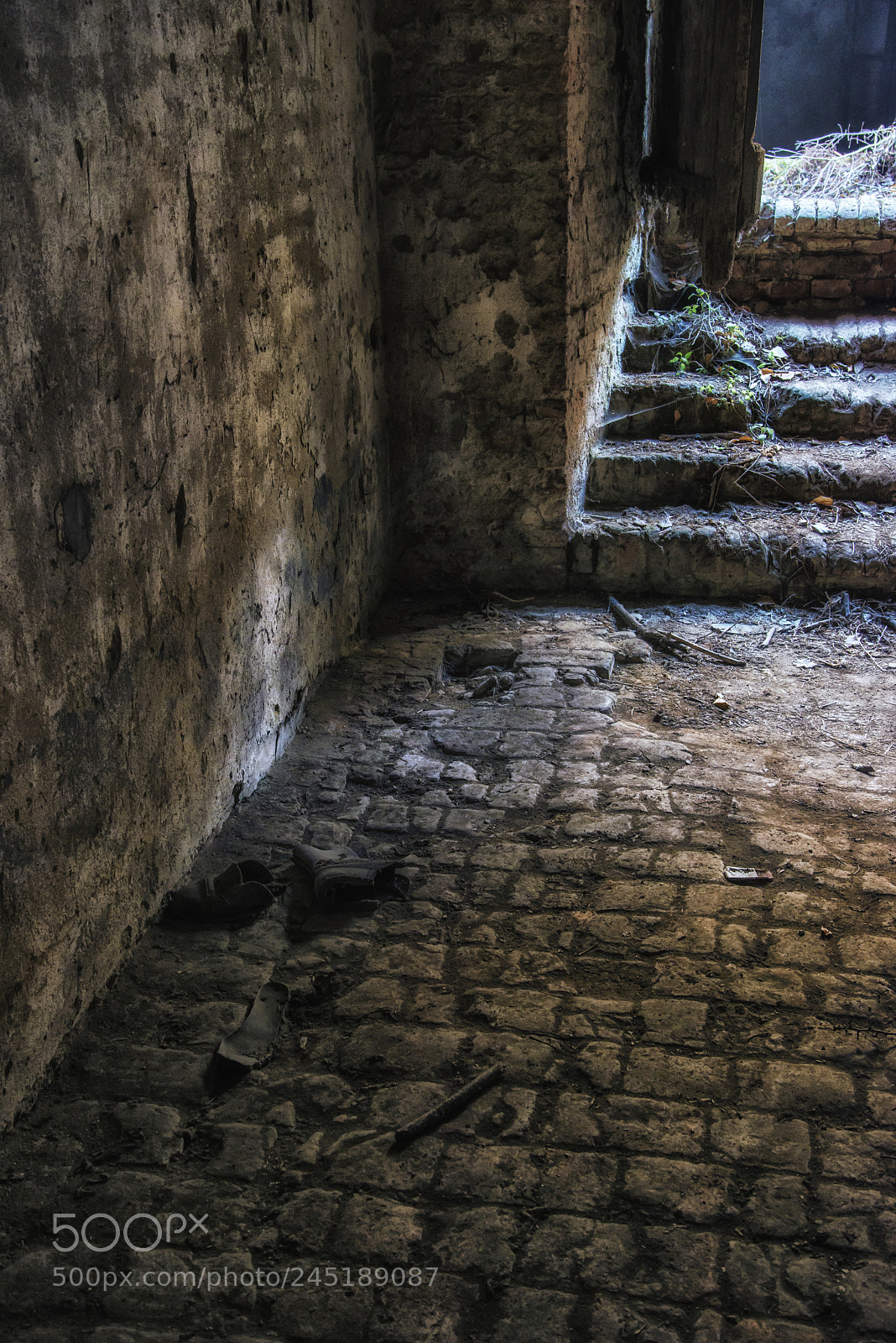 Nikon D800 sample photo. Without time photography