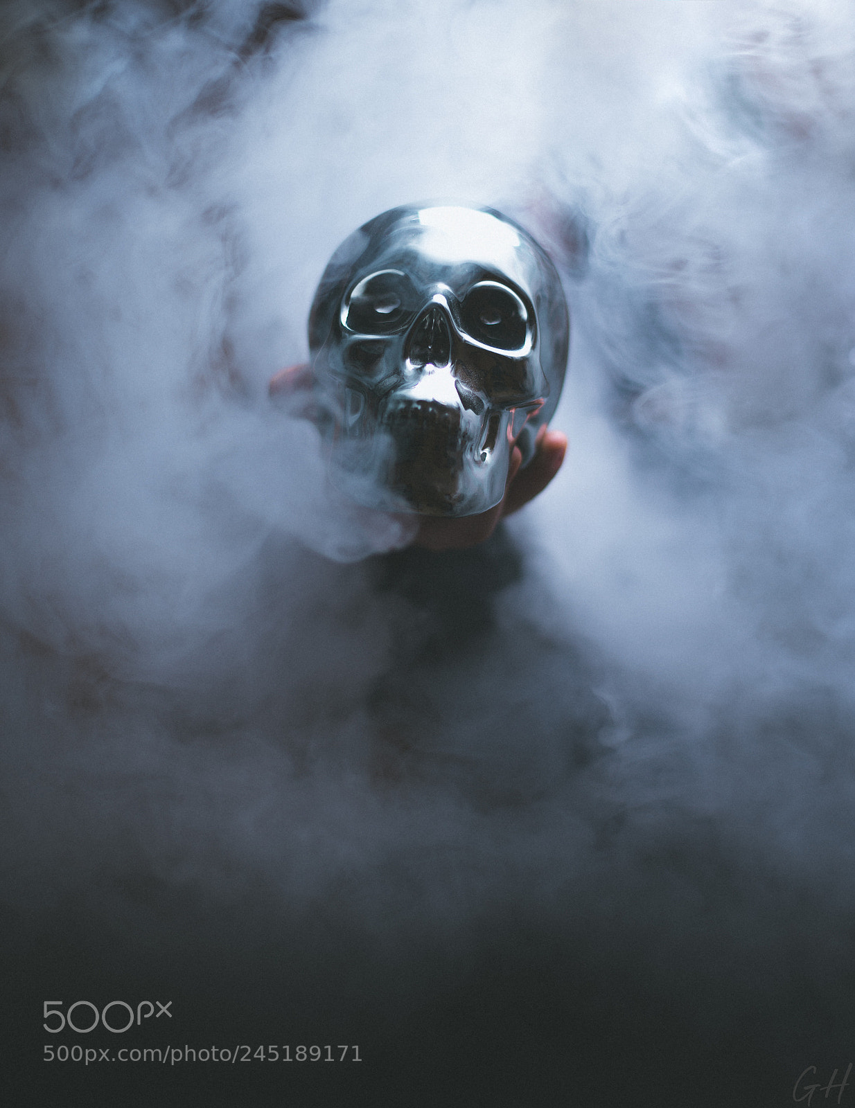 Nikon D610 sample photo. Skull photography