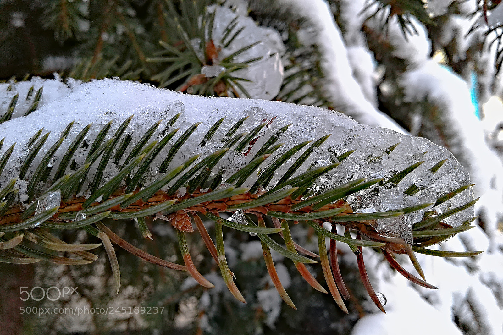 Samsung Galaxy J1 sample photo. Frozen pins photography