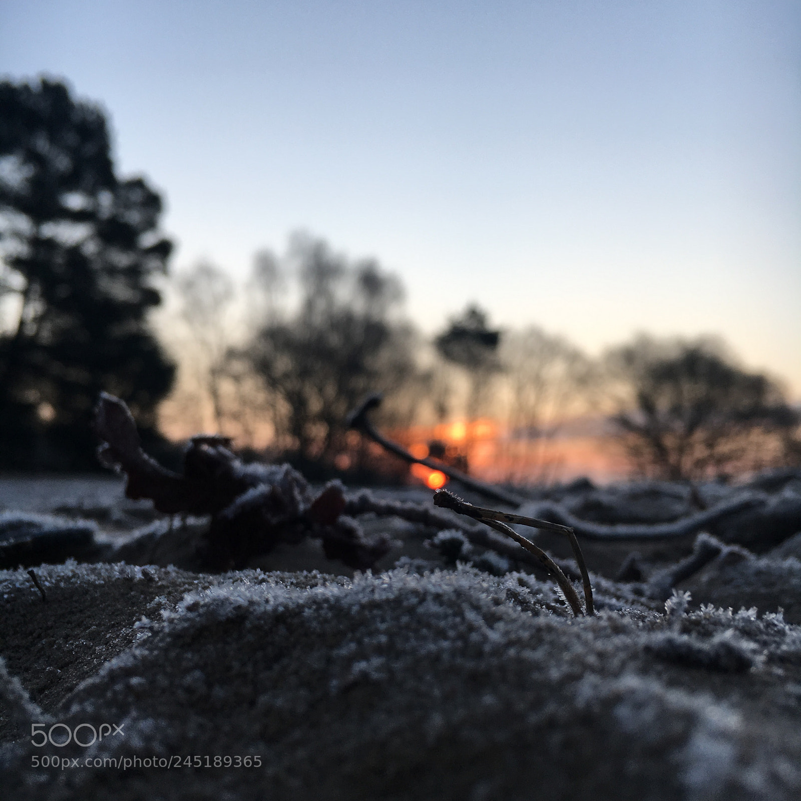 Apple iPhone 6s sample photo. A tiny ice crystal photography