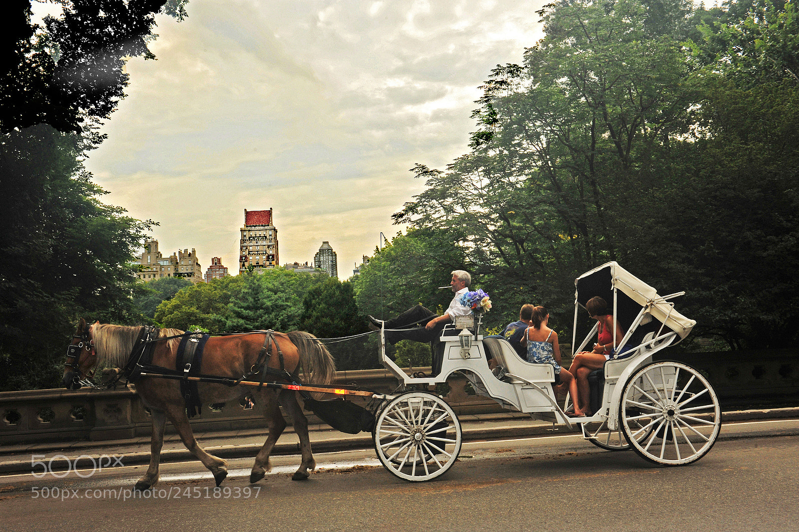 Nikon D700 sample photo. New york city carriage photography