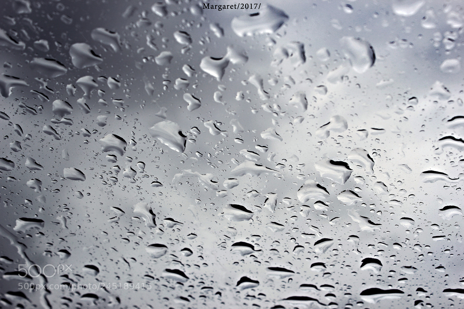Canon EOS 550D (EOS Rebel T2i / EOS Kiss X4) sample photo. Rainy day photography