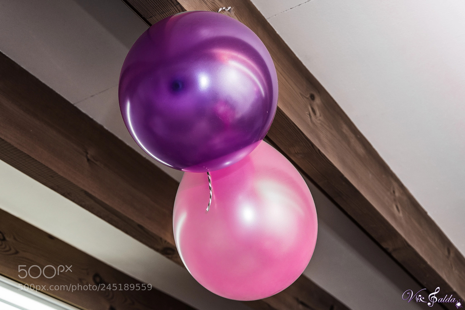 Nikon D7500 sample photo. Party photography