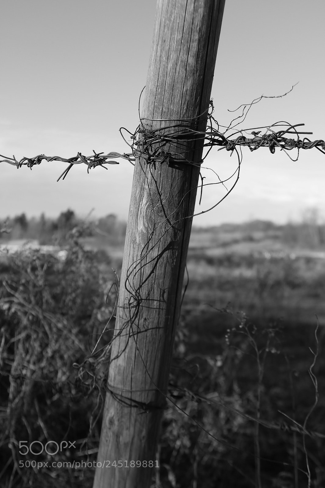 Canon EOS 750D (EOS Rebel T6i / EOS Kiss X8i) sample photo. A farm post photography