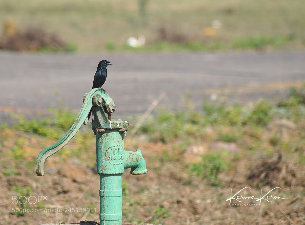 Sony a99 II sample photo. Water scarcity round the photography