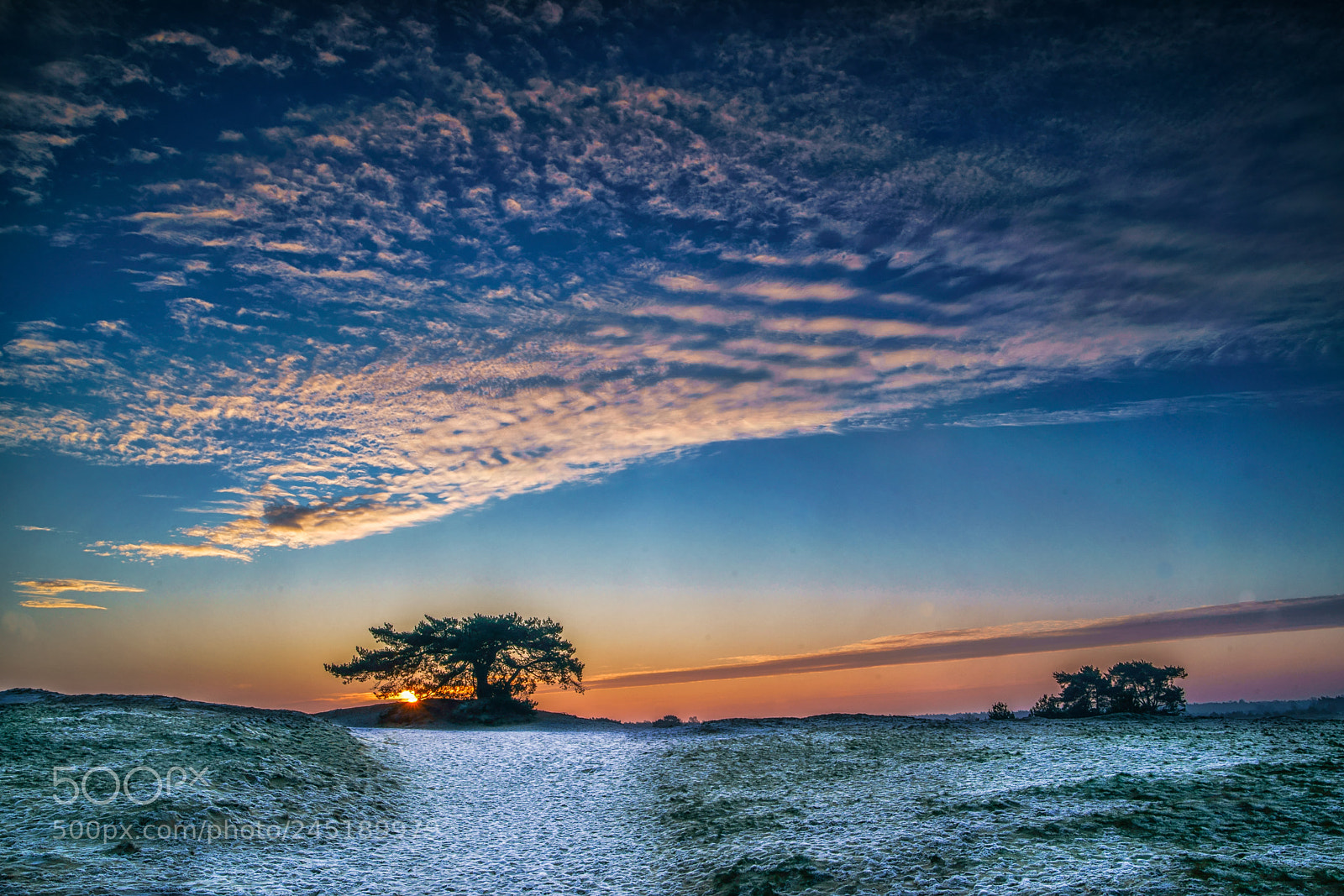 Sony a99 II sample photo. Sunrise near kootwijk photography
