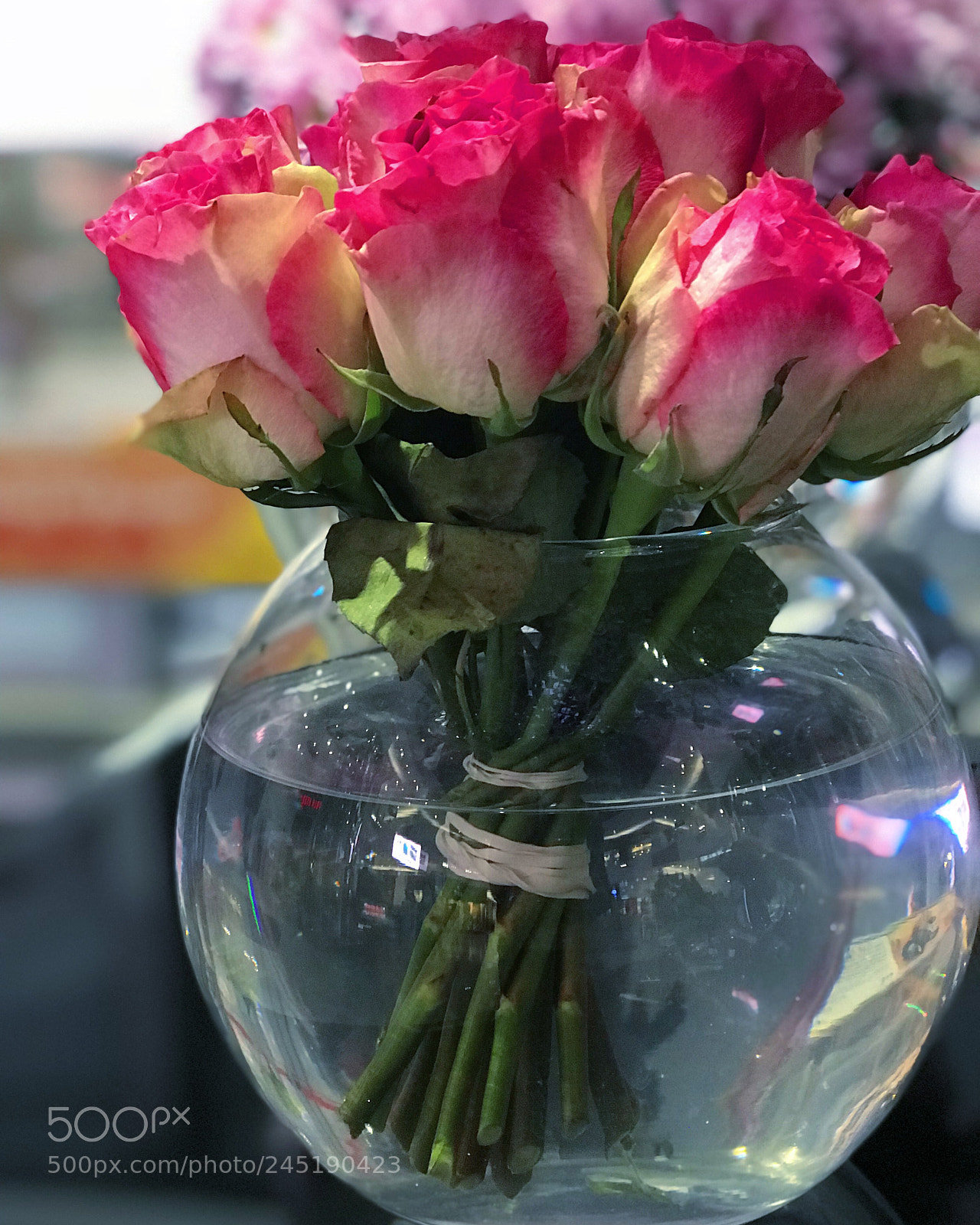 Apple iPhone 7 Plus sample photo. Flower jar photography