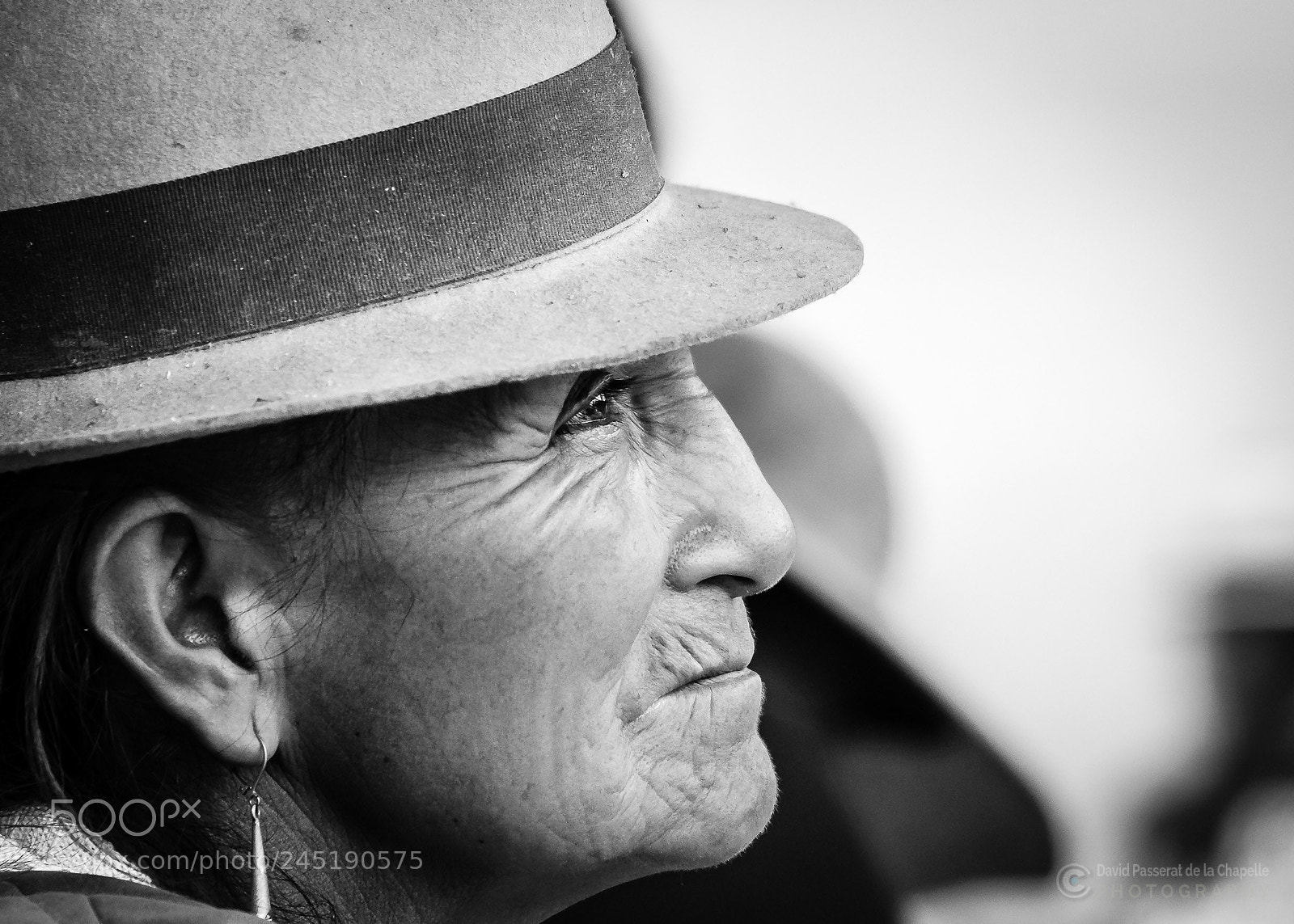 Fujifilm X-E1 sample photo. Curandera. photography