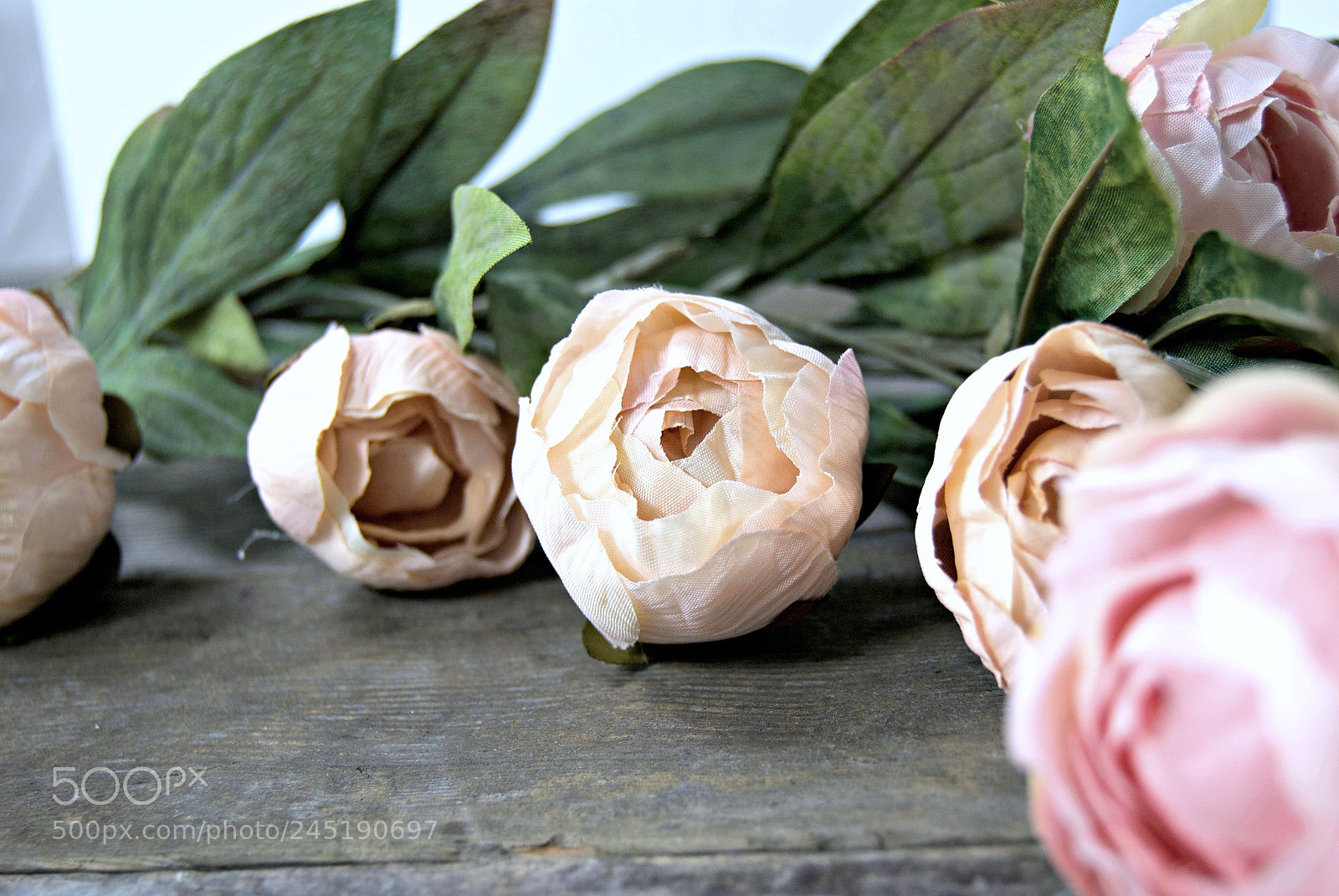 Nikon D3000 sample photo. Fabric flowers photography