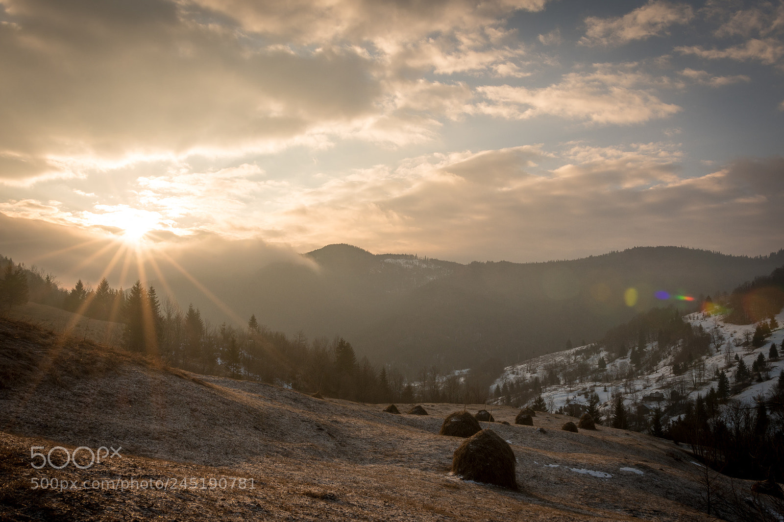 Nikon D500 sample photo. Morning photography