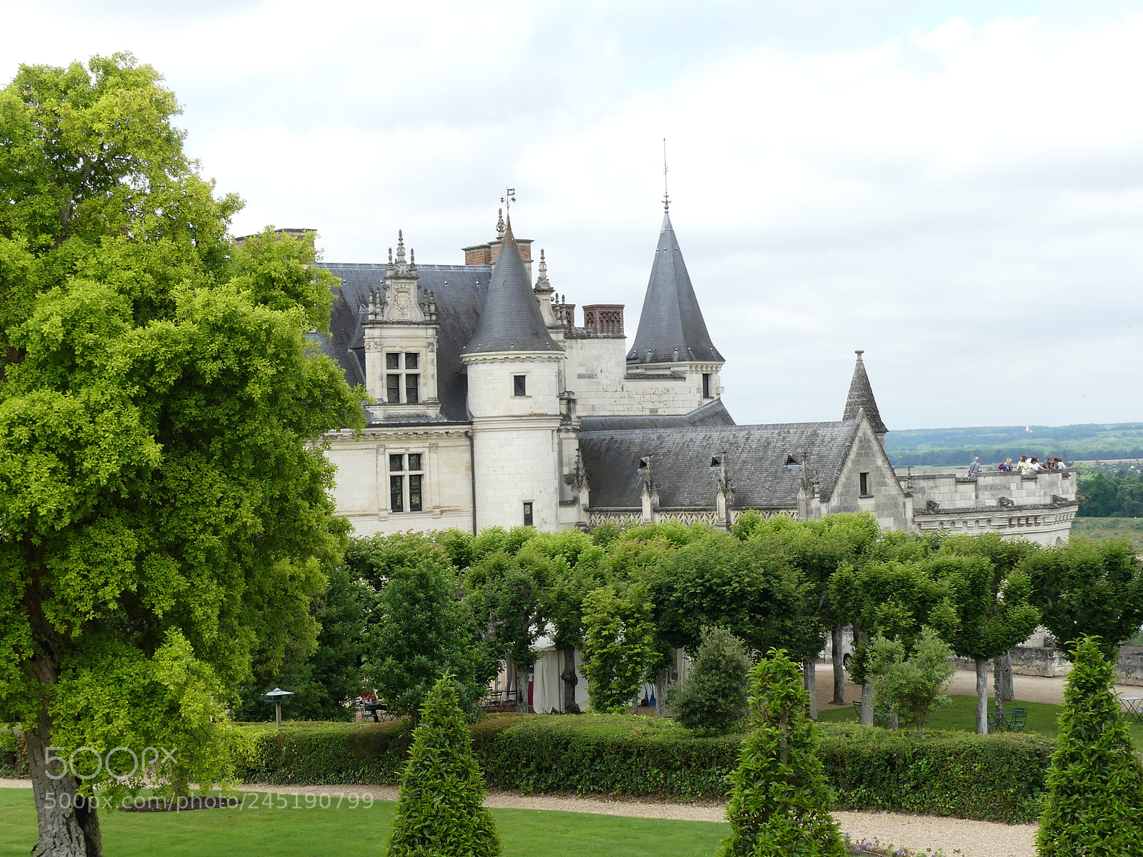 Panasonic Lumix DMC-FZ300 sample photo. Château d'amboise photography