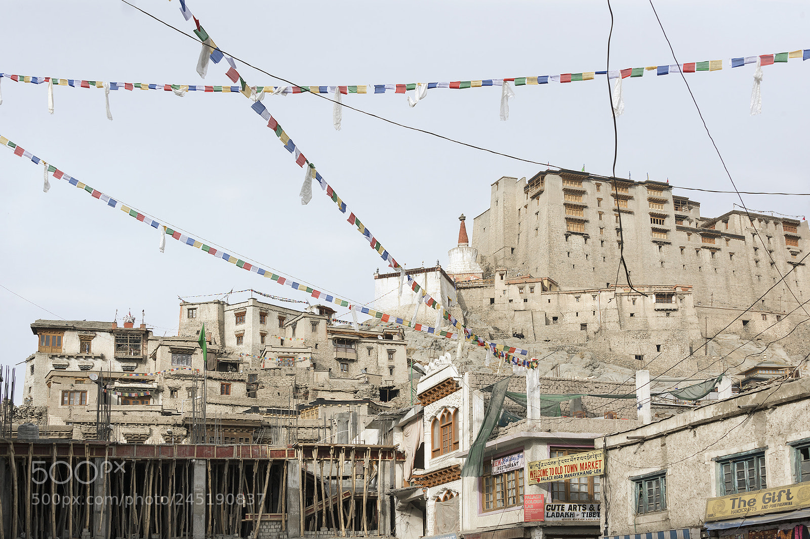 Nikon D810 sample photo. Leh palace with prayer photography