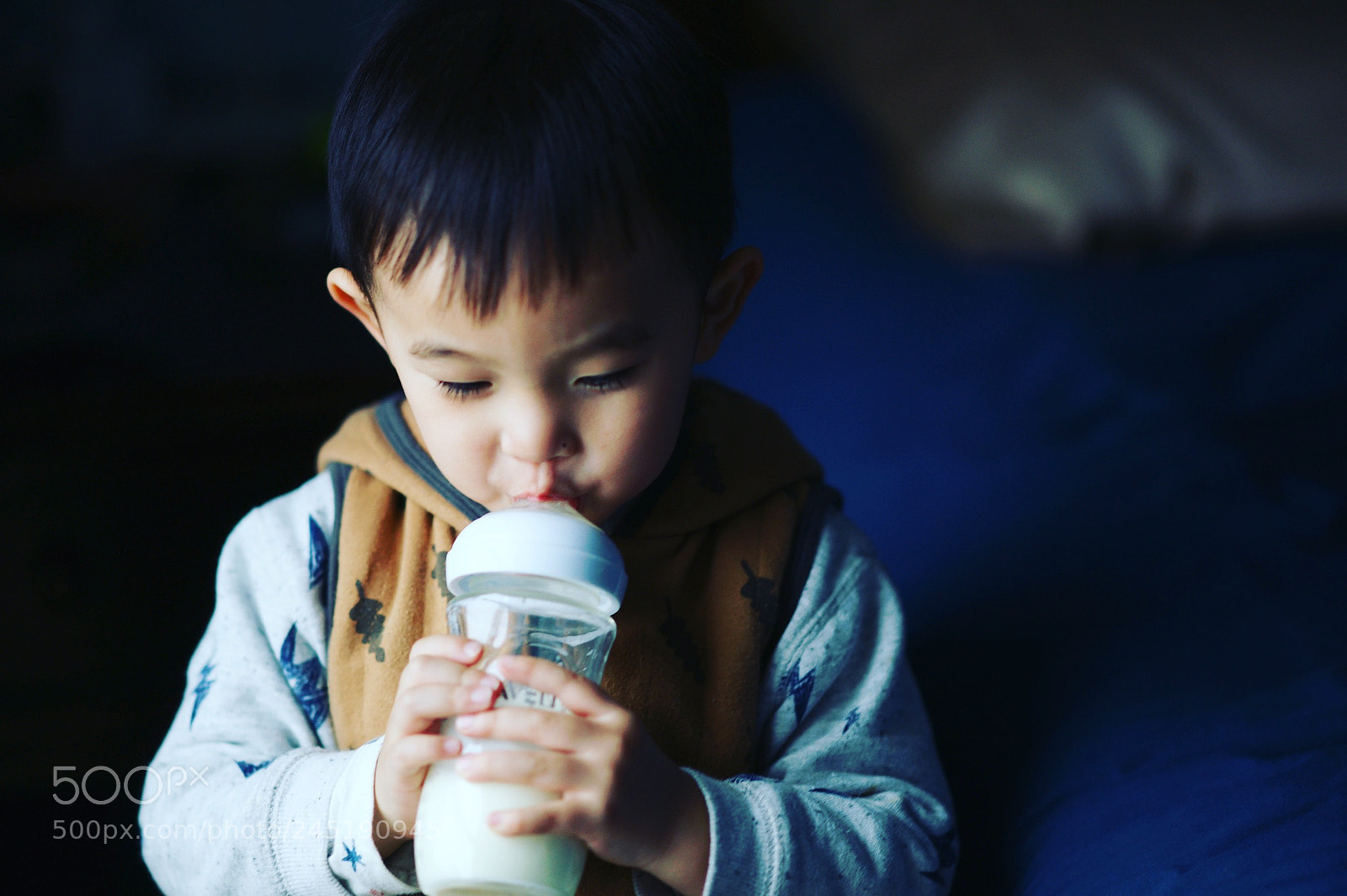 Sony Alpha DSLR-A850 sample photo. Untitled photography